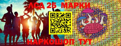 МДПВ Славгород