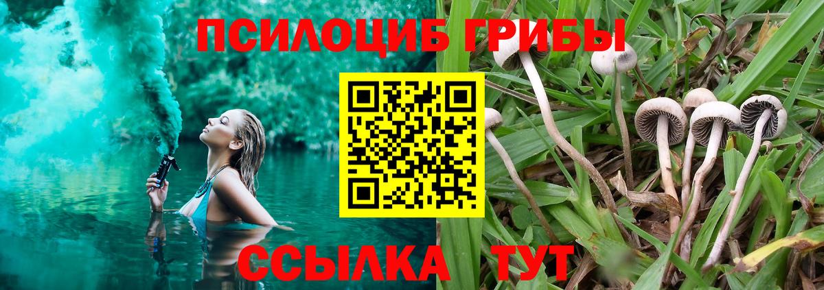 Псилоцибиновые грибы MAGIC MUSHROOMS  Галлюциногенные грибы Psilocybe  Всеволожск  Вход с VPN 